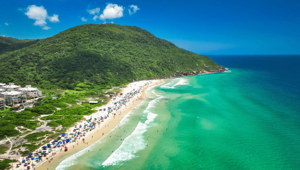 Vista aérea da praia dos Ingleses, em Florianópolis, com mar esverdeado e morro coberto de mata